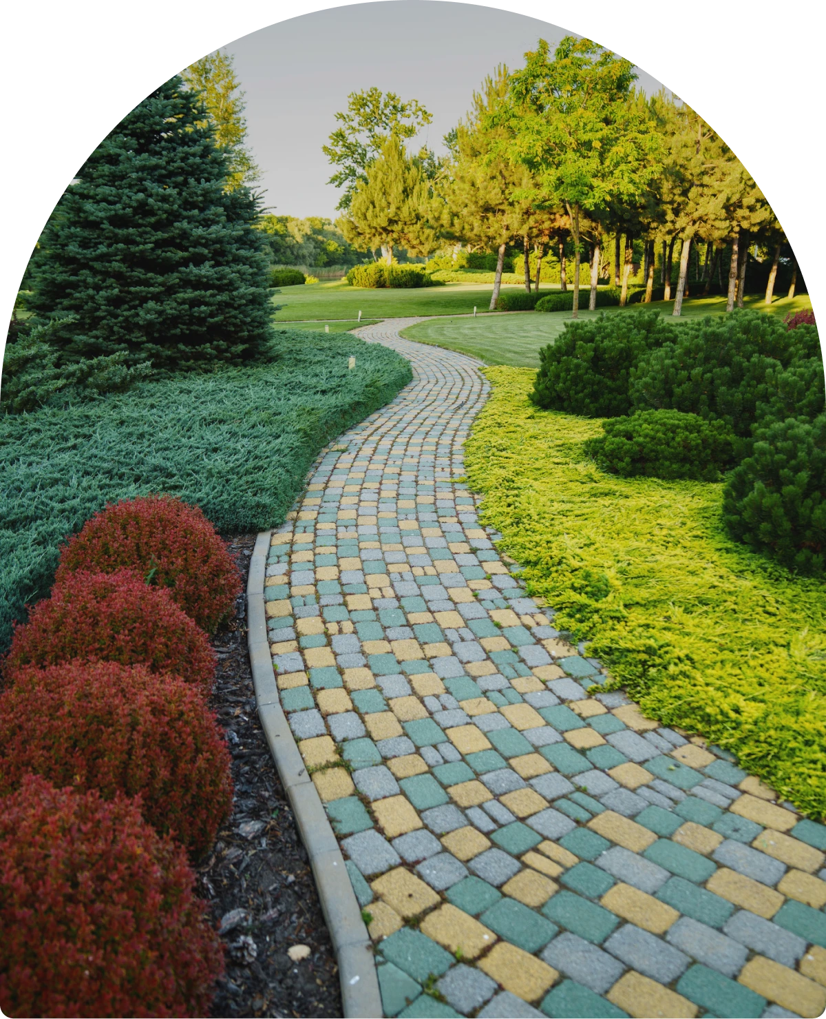 Colorful pathway in lush garden setting