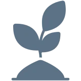 Planting & <br>Custom Planters