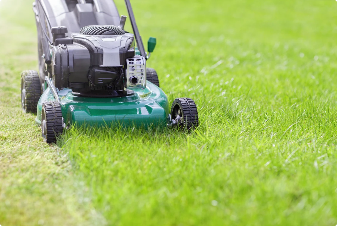 Green lawn being mowed outdoors